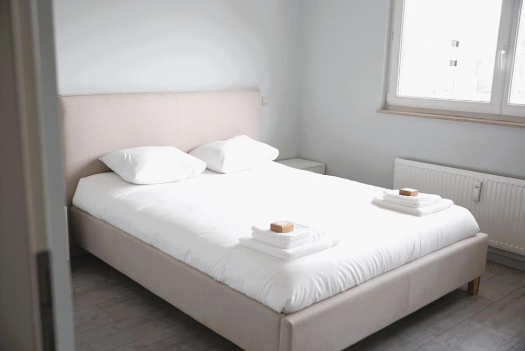 Charming Modern 2 Bedroom Apartment Alzingen ภายนอก รูปภาพ